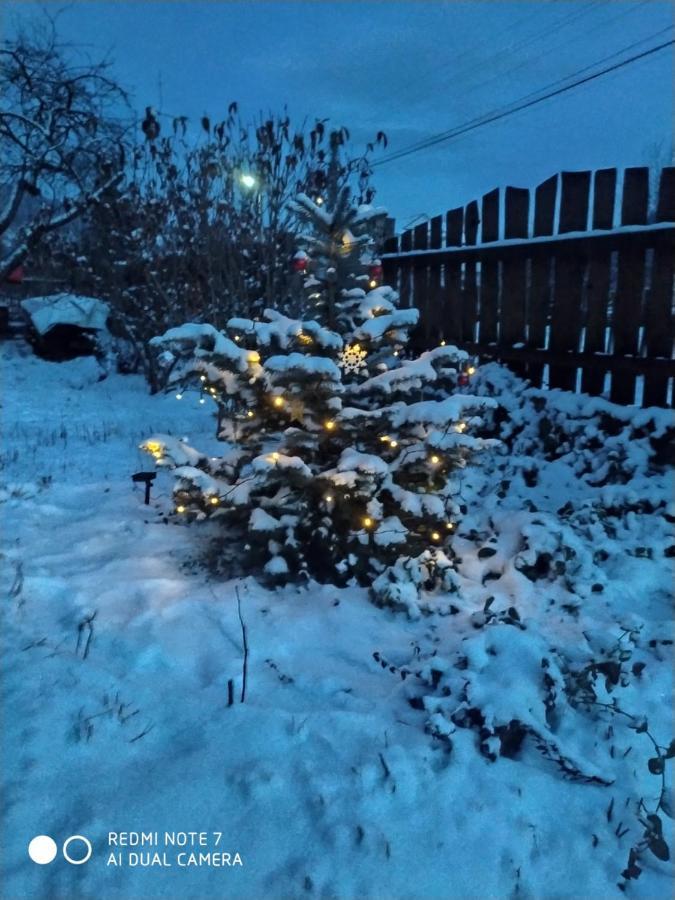 Котедж Кресаня Mykulytschyn Exterior foto