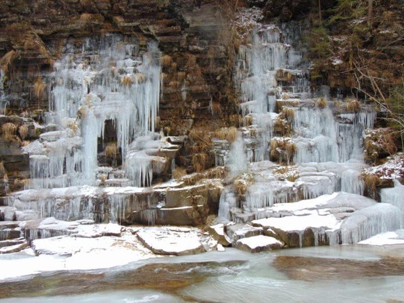 Котедж Кресаня Mykulytschyn Exterior foto